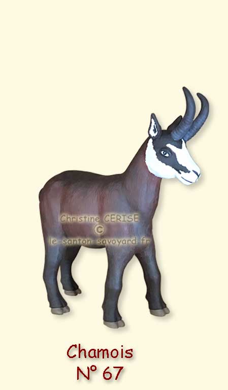 N°67 Chamois